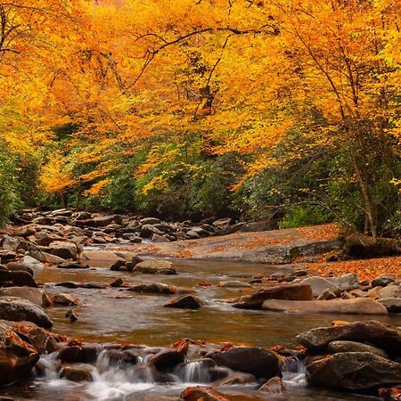 Romantic, Honeymoon Cabin In The Smokies! Гатлінбург Екстер'єр фото