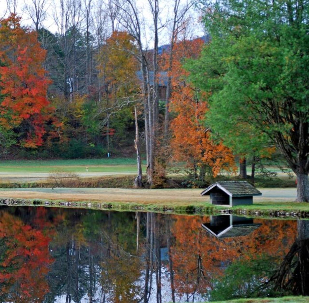 Romantic, Honeymoon Cabin In The Smokies! Гатлінбург Екстер'єр фото