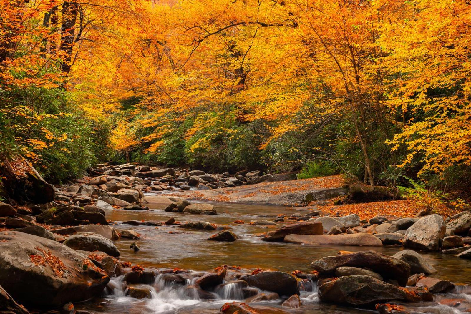 Romantic, Honeymoon Cabin In The Smokies! Гатлінбург Екстер'єр фото